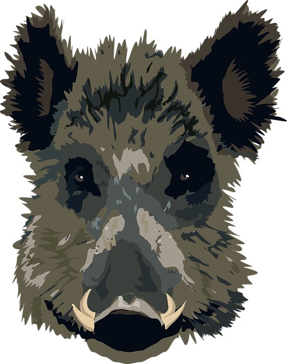 IMGBIN_wild-boar-lord-of-the-flies-common-warthog-suidae-png_X4aZyJSB